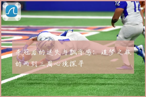 夺冠后的迷失与飘浮感：追梦之旅的两到三周心境探寻