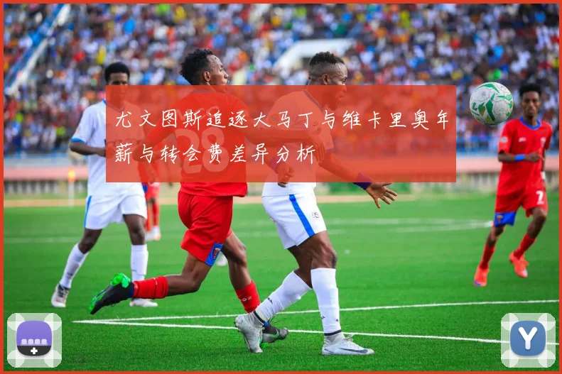 尤文图斯追逐大马丁与维卡里奥年薪与转会费差异分析